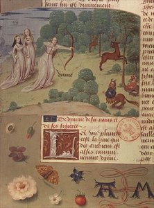 Bayan Fr 9197 fol.140v Diana avı, Livre des Eschecs D