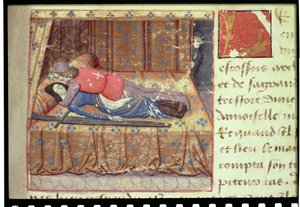 Ms Hunter 252 f.12r 