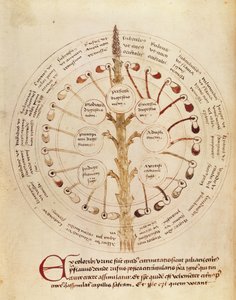 Ms Lat 11229 fol.19r İdrar analizi için tablo, Petit Traite dhygiene et Medecine