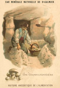 Mantar yetiştiricisi (chromolitho) by French School