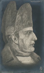 Napolyon I by French School