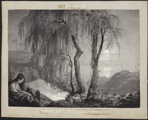 Napolyon Bonapart, St Helena
