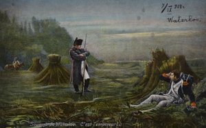 Napolyon Waterloo