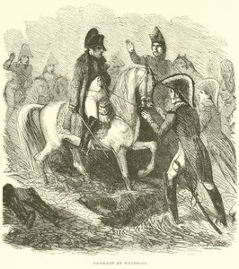 Napolyon Waterloo
