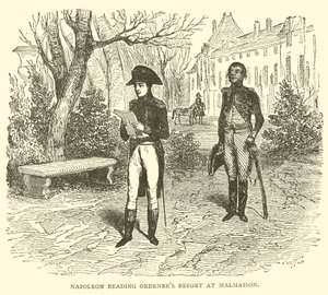 Napolyon, Malmaison
