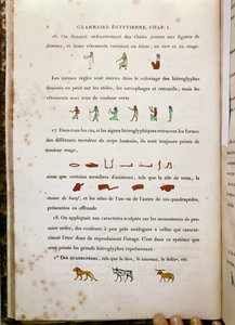 Jean Francois Champollion (1790-1832) 1836 tarafından yazılan Grammaire Egyptienne'den belirli hiyerogliflerin renklendirilmesine ilişkin notlar by French School