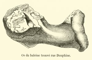 Dauphine Sokağı