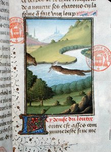 Gaston Phebus de Foix (1331-91) (parşömen) tarafından Livre de la Chasse