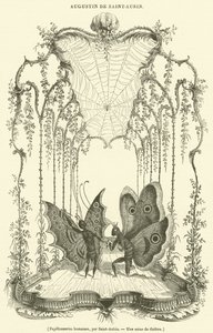 Papillonneries humaiaes (gravür) by French School