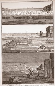 Peche de Mer - Trameau - Su Kuşu Balıkçılığı - “” Büyük Ansiklopedi veya Dictionnaire Raisonne des Sciences, des Arts et des Metiers” (Ansiklopedi veya Bilimler, Sanatlar ve Meslekler Sözlüğü) Denis Diderot (1713-1784) ve Jean d 