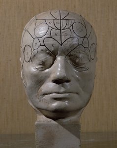 Frenolojik kafa, Jean Martin Charcot (seramik) by French School