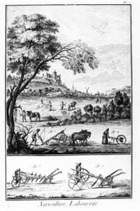 Diderot ve Alembert Ansiklopedisi Plakası: Tarım ve Çiftçilik. 18. yüzyıl. by French School
