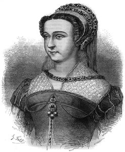 Anne Oston