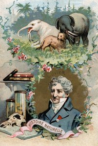Baron Georges Cuvier