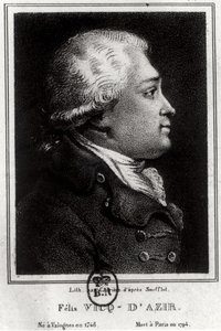 Felix Vicq dAzyr