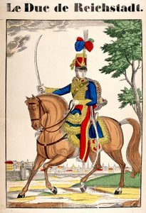 Napolyon II, İmparator I. Napolyon