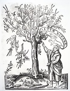 Robert Estienne