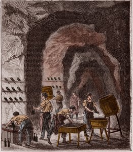 Şampanya üretimi - Fabrication du Champagne - Alexis Clerc