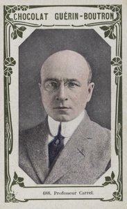 Profesör Carrel (renkli fotoğraf) by French School