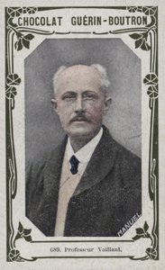 Profesör Vaillant (renkli fotoğraf) by French School