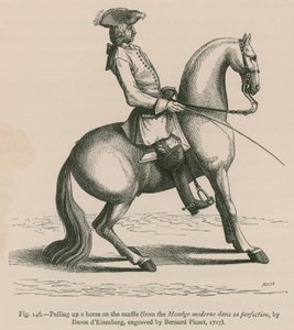 Snaffle