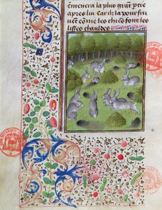 Gaston Phebus de Foix tarafından Livre de la Chasse