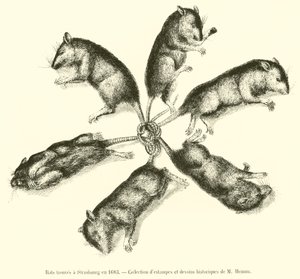 1683
