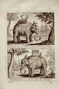 Kraliyet filleri, Voyage du Siam des Peres Jesuites
