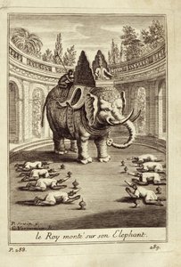 Kraliyet filleri, Voyage du Siam des Peres Jesuites