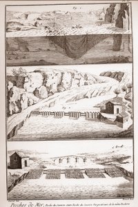 Somon balıkçılığı teknikleri - Denis Diderot (1713-1784) ve Jean d