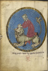Samson ve aslan, Kuzey Fransız Miscellany