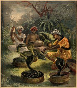 Hindistan
