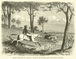 Sürülerini Toplayan Gecekondu (gravür) by French School