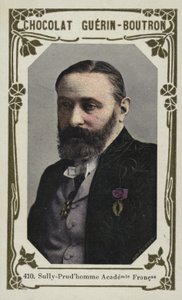 Sully-Prudhomme, Academie Francaise (renkli fotoğraf) by French School