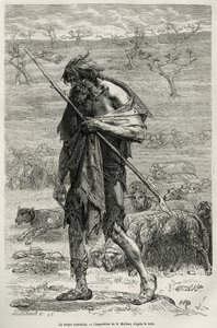 Avustralyalı çoban, D.Maillart tarafından, Avustralya