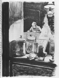 Eczacı Homais, Gustave Flaubert