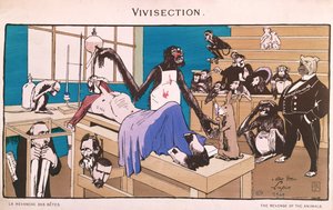 Hayvanların İntikamı, dirikesim karikatürü, 1909 by French School