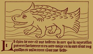 "Deniz Köpeği" by French School
