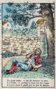 Meşe palamudu ve balkabağı. Jean de La Fontaine (1621-95) Masalları. 19. yüzyılın sonundan Epinal