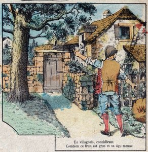 Meşe palamudu ve balkabağı. Jean de La Fontaine (1621-95) Masalları. 19. yüzyılın sonundan Epinal