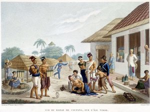 Timor adası Coupang