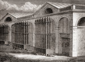 19. yüzyılda 