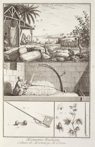 Pamuk ekimi, Ansiklopediden Denis Diderot (1713-84), A. Provost (fl.1834-55), c.1760 tarafından oyulmuş by French School