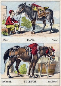 Eşek ve at. "Buffon Alphabet des Animaux" gravürü. 3. Seri N 1. Epinal