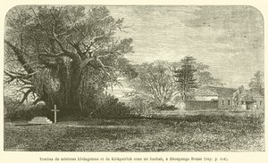 Shoupanga Evi