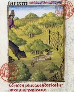 Tavşan ve av köpekleri için tuzak - “” Gaston Phoebus, Count of Foix, Lord of Bearn” tarafından yazılan Av Kitabı”nda by French School
