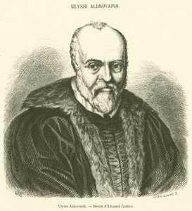 Ulysse Aldrovandi (gravür) by French School