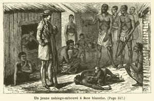 Beyaz yüzlü genç bir nshiego-mbouve (gravür) by French School