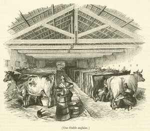 Bir İngiliz ahırı (gravür) by French School