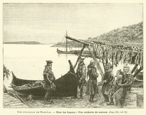 Norveç